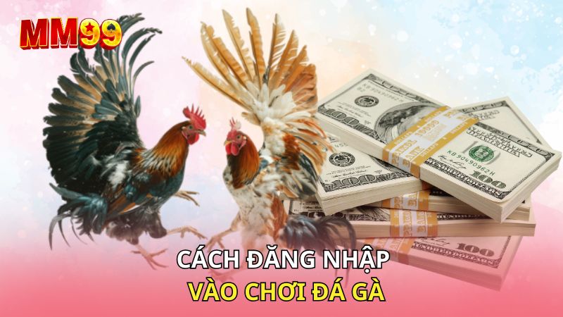 Cách đăng nhập vào chơi đá gà