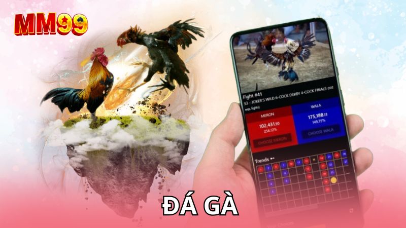 Đá gà tại MM99