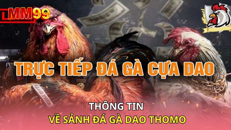 Thông tin về sảnh đá gà dao Thomo
